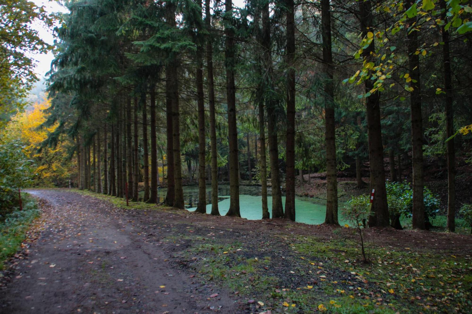 Fh "Baeren Ecke" Am See Im Hessischen Bergland Kirchheim  Eksteriør bilde