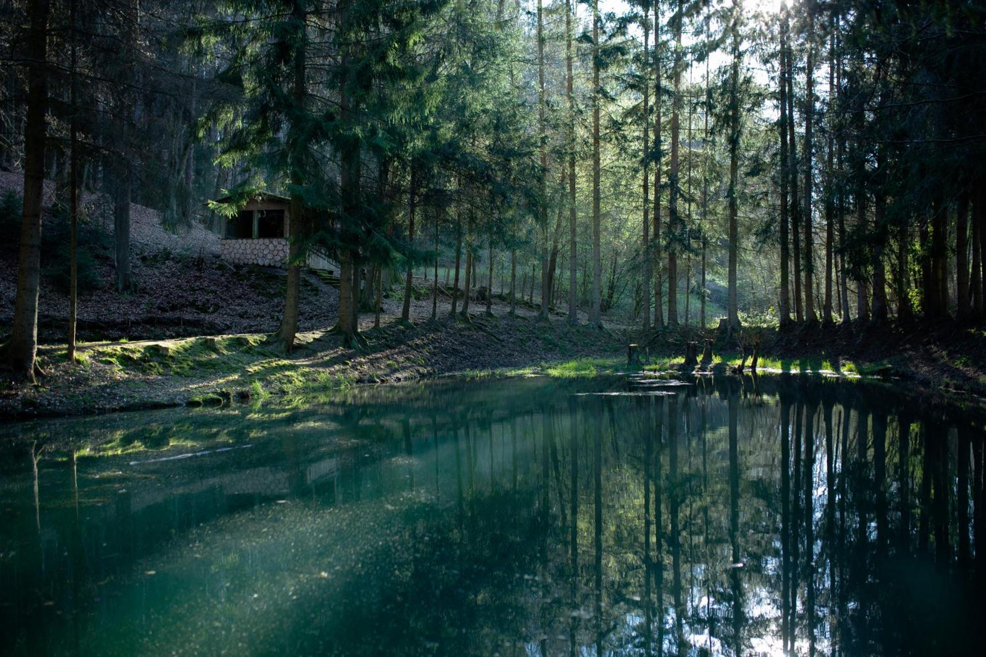 Fh "Baeren Ecke" Am See Im Hessischen Bergland Kirchheim  Eksteriør bilde